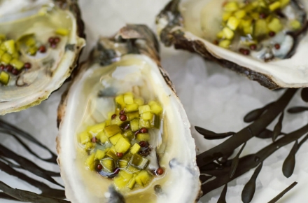 Beautifully plated oysters