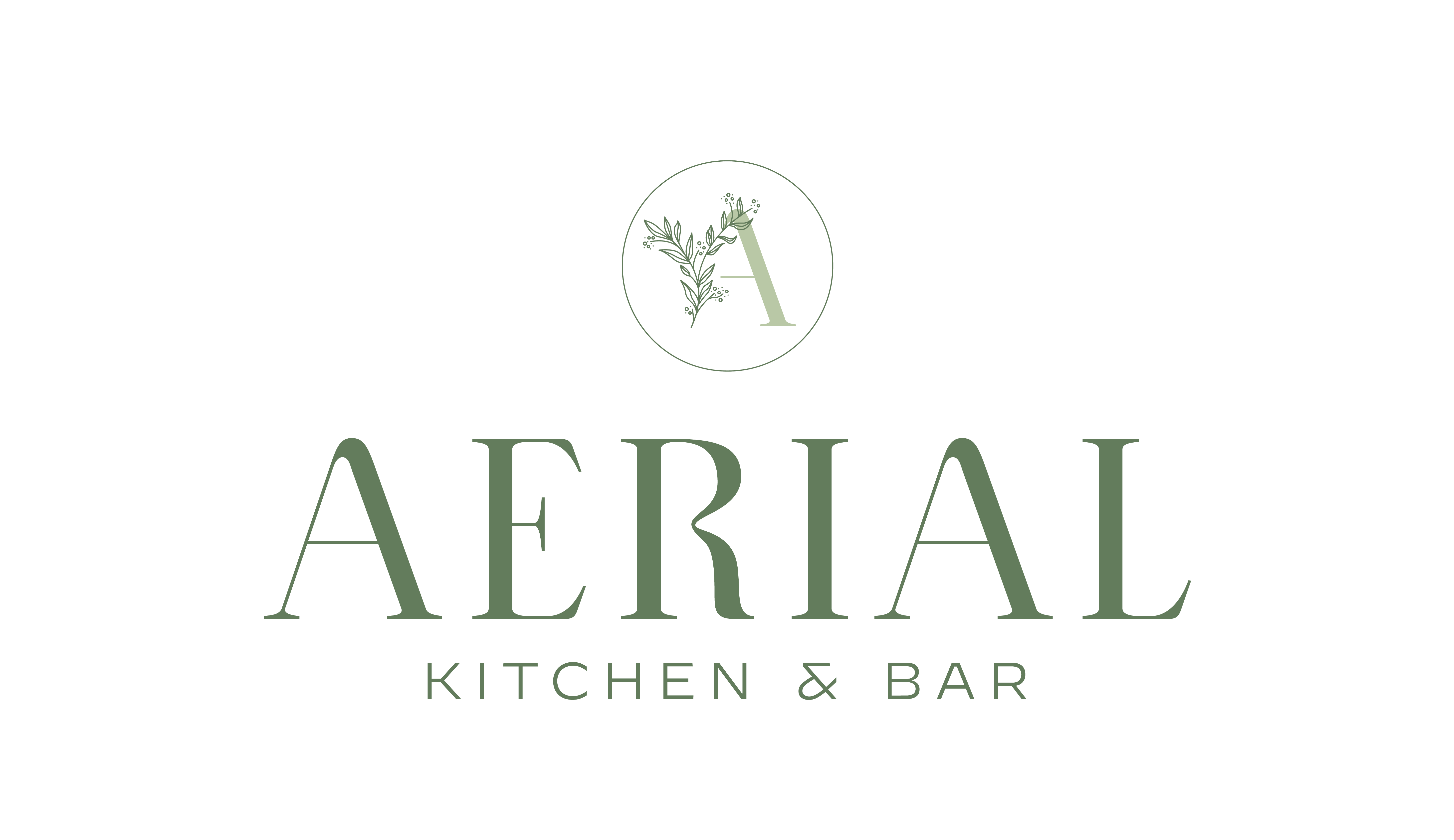 Aerial Kitchen & Bar