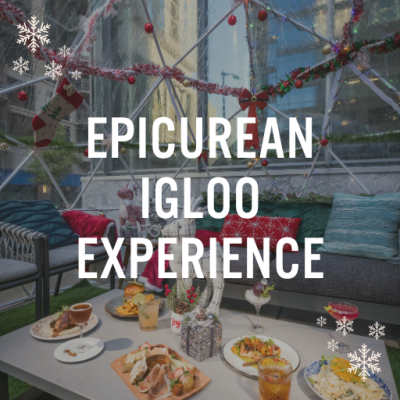 Igloo Experience Graphic